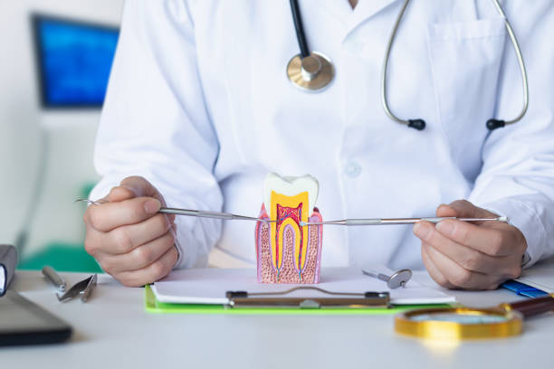 Best Emergency Orthodontic Repairs in South Fulton, TN